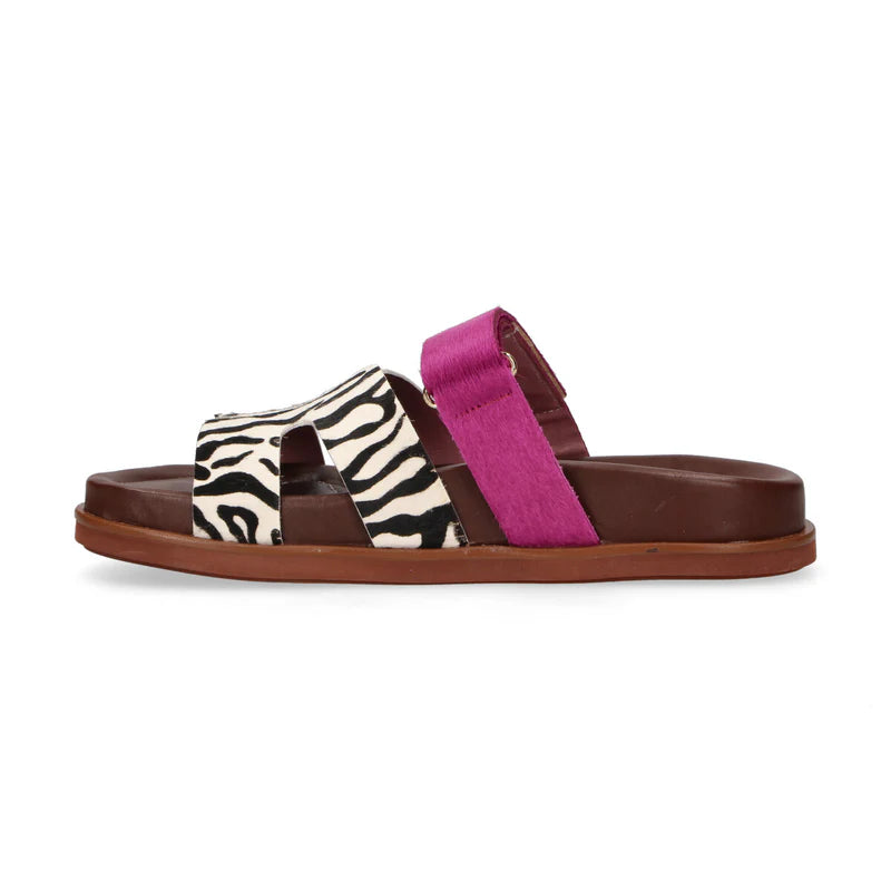 Sandal Primula 08 Zebra 